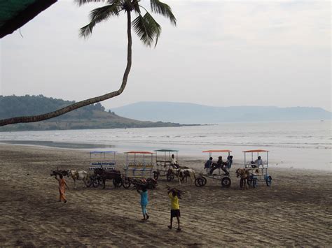 Cycling Konkan coast from Mandwa via Alibag and Kashid Bea… | Flickr