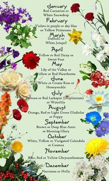 Calendar | Birth flowers, Flower meanings, Language of flowers