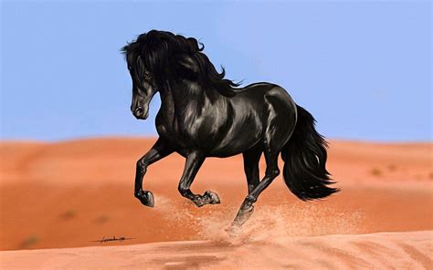 Black Horse Wallpapers - Wallpaper Cave