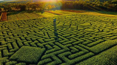 Mazezilla corn maze at Klingel's Farm in Pennsylvania | Corn maze, Poconos, Maze