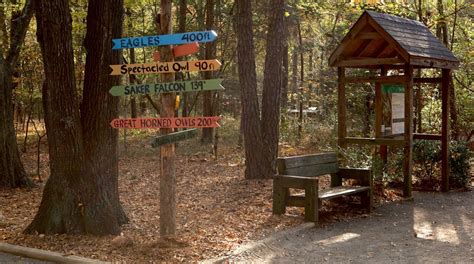 Carolina Raptor Center in Charlotte | Expedia.ca