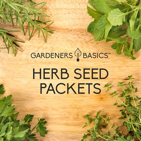 Grow a Lush Herb Garden: Premium Herb Seeds for Planting – Gardeners Basics