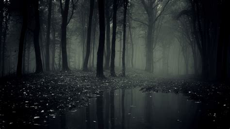 Haunted Forest Wallpaper (59+ images)