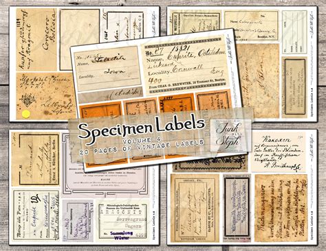 Specimen Labels Vol. 4 With 20 Pages Over 150 Separate - Etsy