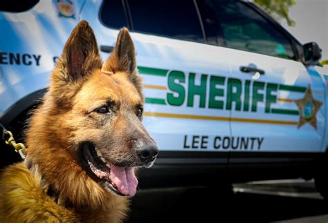 K-9 Unit – Lee County Sheriff's Office