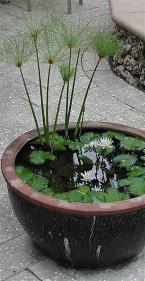 13 Peaceful DIY Container Water Garden Ideas For Container Gardeners ...