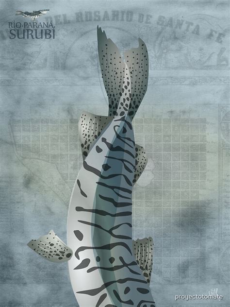 "Surubí Fish" Photographic Print by proyectotomate | Redbubble