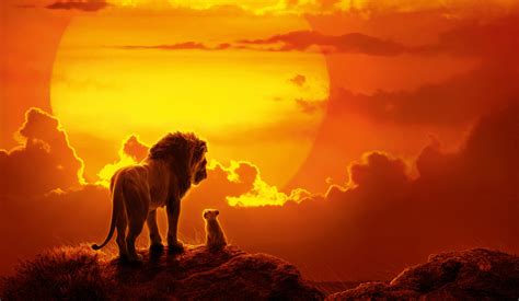 Lion King Sunset (3840x2160) : r/wallpaper