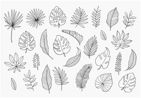 Clipart Leaf Outline