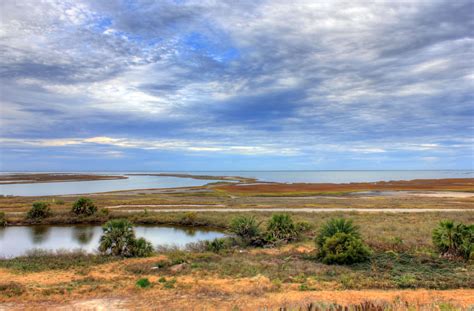 Overview of the Park at Galveston Island State Park, Texas image - Free stock photo - Public ...