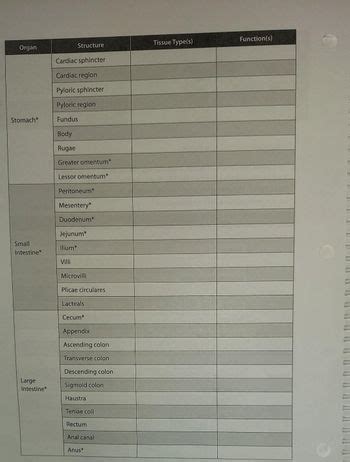 Answered: Organ Stomach* Small Intestine*… | bartleby