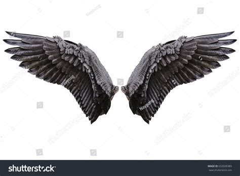 Angel Wings Isolated On White Background Stock Photo 632028389 ...