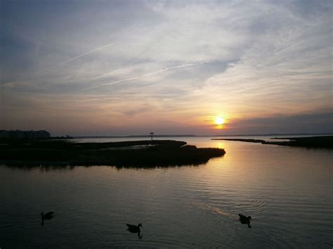 Pin on Ocean City, Maryland