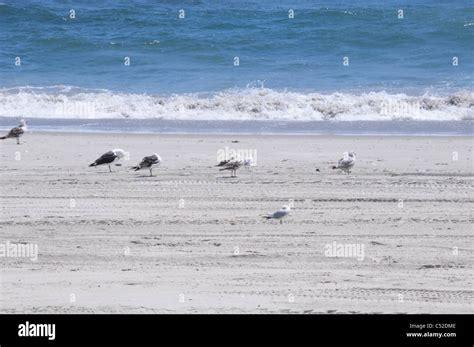 Rockaway Beach New York Stock Photo - Alamy