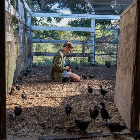 The Biggest Little Farm documentary is a must-see - Curbed LA