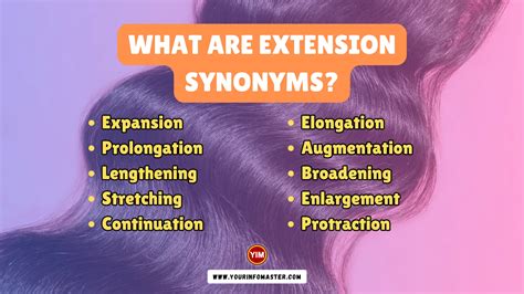 What are Extension Synonyms? | Another Word for Extension, Antonyms and ...