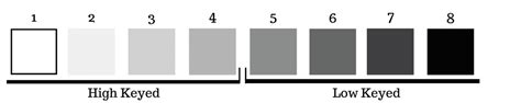 Complete Guide to the Importance of Tonal Values in Art