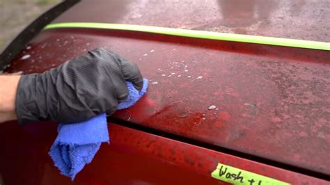 How to Remove Tree Sap From Car Without Damaging Paint? - Easy Solutions