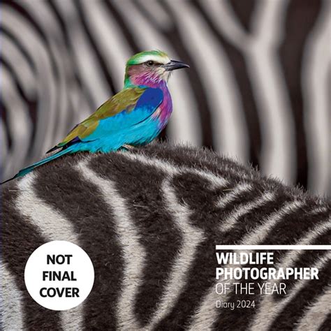 Wildlife Photographer of the Year Desk Diary 2024 by Natural History ...