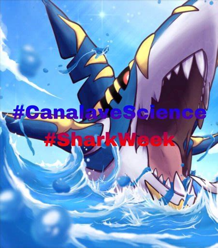 Mega Charizard X Team (Smogon Gen 7 OU) | Pokémon Amino