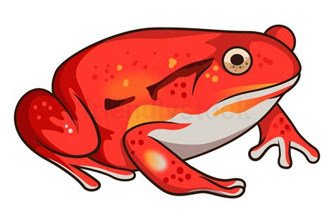 Cartoon Tomato Frog Clipart Vector Illustration - FriendlyStock