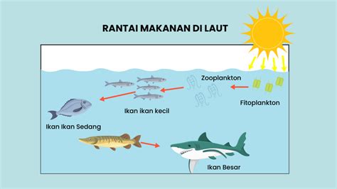 Mencermati Sistem Rantai Makanan di Sawah, Hutan dan Laut - Varia Katadata.co.id