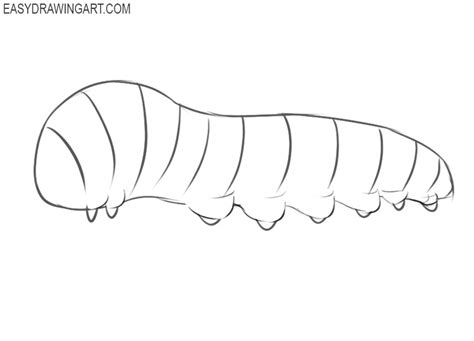 how to draw a caterpillar - Peete Hiecand