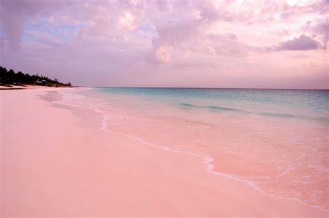 Pink Sand Beach, Harbour Island, Bahamas | Pink wallpaper laptop, Pink ...