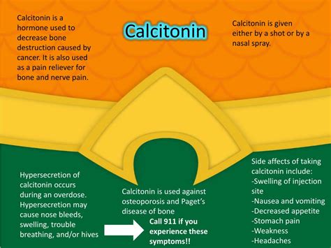 PPT - Parathyroid, Calcitonin & Calcitriol PowerPoint Presentation - ID:1878349