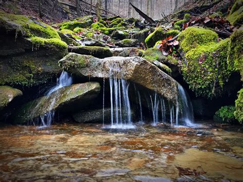 Visit Wartburg: 2024 Travel Guide for Wartburg, Tennessee | Expedia