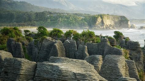 Punakaiki Pancake Rocks, New Zealand [OC] [1920x1080] : r/newzealand