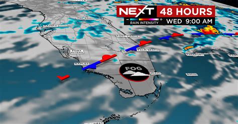 Miami Weather: Dense morning fog, partly cloudy skies in afternoon ...