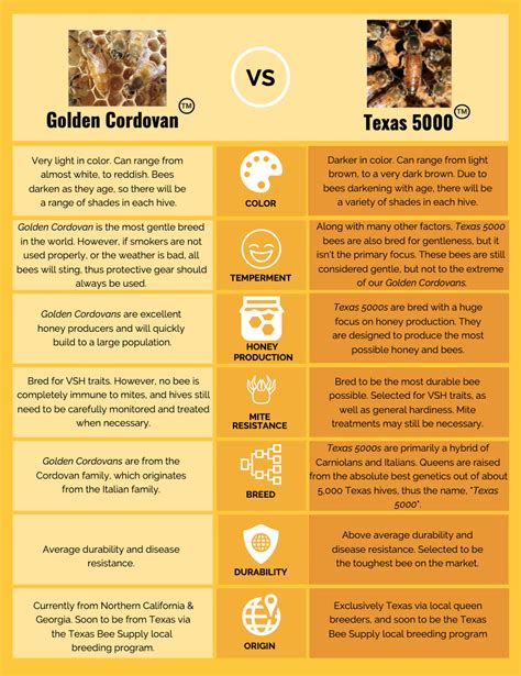 Bee Breed Comparison Chart — Texas Bee Supply