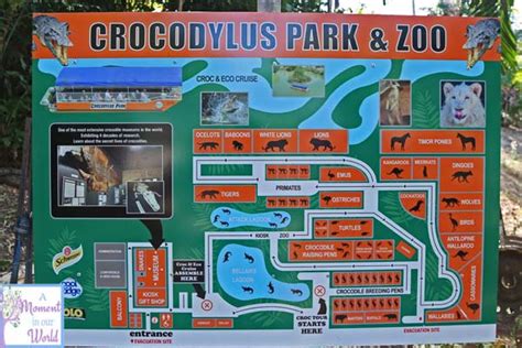 Crocodylus Park 43 - Simple Living. Creative Learning