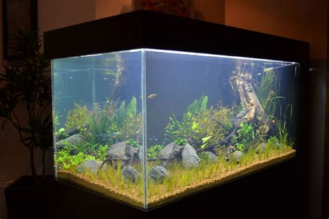 How to build a aquarium - Builders Villa