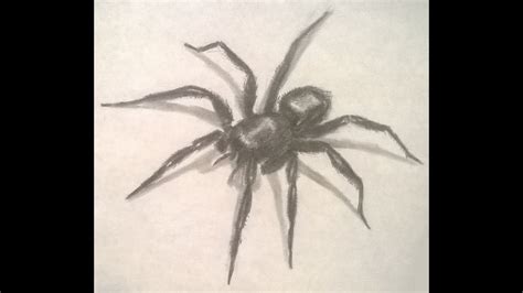 Spider Pencil Drawing at PaintingValley.com | Explore collection of ...