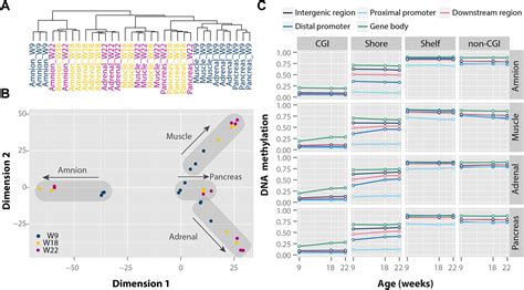 DNA Methylation Landscapes of Human Fetal Development | proLékárníky.cz