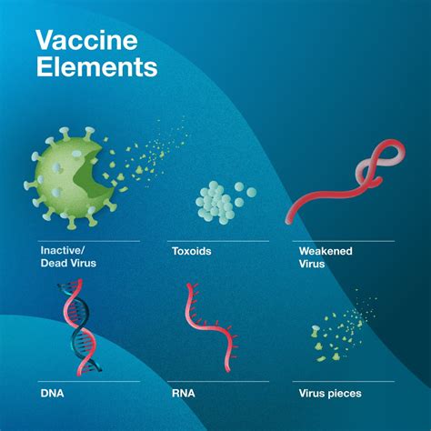 Vaccine development: How are vaccines made? - Caltech Science Exchange