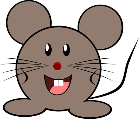 Mouse Grey Little · Free vector graphic on Pixabay