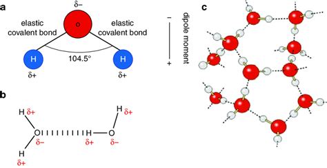 5 Structure of the water molecule: (a) ball and stick model, with the ...