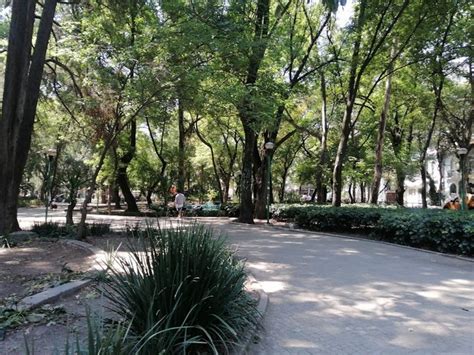 The 10 Best Parks in Mexico City