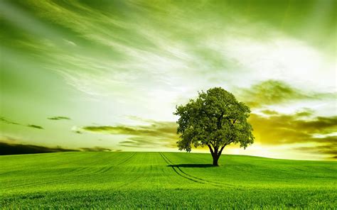 Tổng hợp 999 Background sky green Tải miễn phí, chất lượng cao nhất