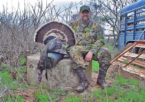 Spring Turkey Hunting Guide: 15 Tips and Tactics - Game & Fish