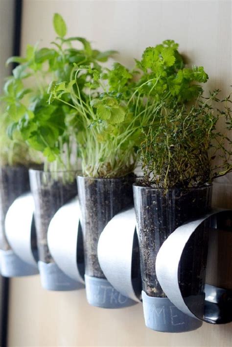 Herbs to Grow to Make Tea from Flowers | Diy herb garden, Indoor herb ...