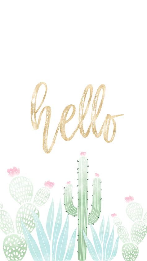 Cute Aesthetic Cactus Wallpapers - Wallpaper Cave