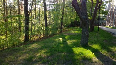 University of New Hampshire-Main Campus, Durham - eBird Hotspots