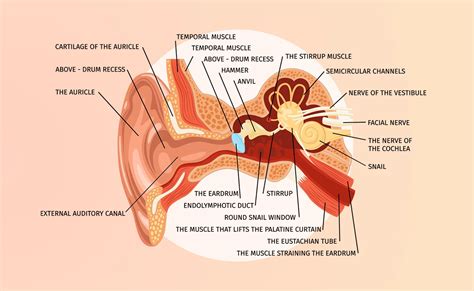 Benign Paroxysmal Positional Vertigo (BPPV) » Curezone Physiotherapy