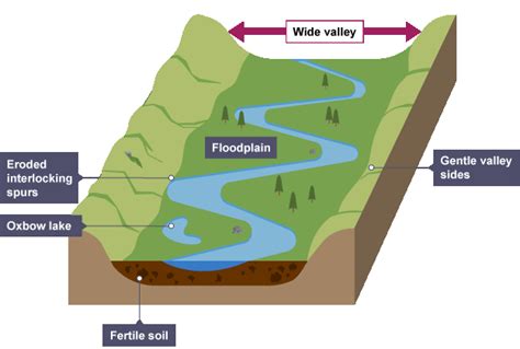 Natural Levee Diagram