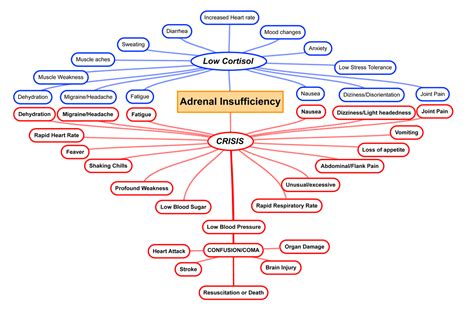 Low Cortisol or an Adrenal Crisis – Learning the difference | Cortisol, Chronic fatigue symptoms ...