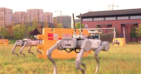 Search and Rescue Robots Successful in Trials